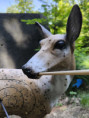/album/hauptsache-drauf/treffer-102-jpg/