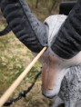 /album/hauptsache-drauf/treffer-105-jpg/