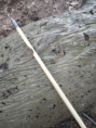 /album/hauptsache-drauf/treffer-107-jpg/