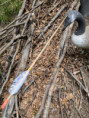 /album/hauptsache-drauf/treffer-110-jpg/